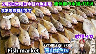 【まあまあ🐟】【連休前！】【カミナリイカ】今朝の魚市場5月2日木曜日の水揚げ状況