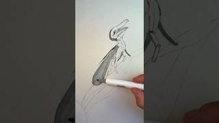 The most confused bird... or bug?