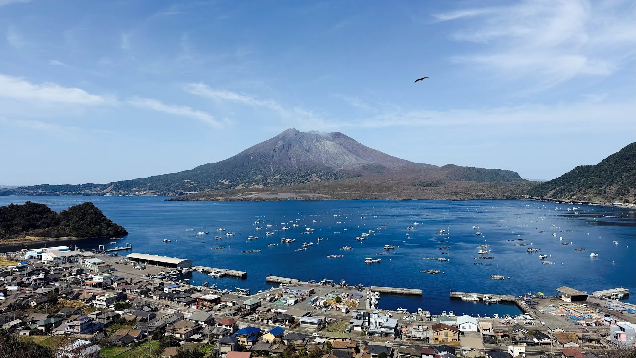 【活動報告】桜島で新たな展開を... 