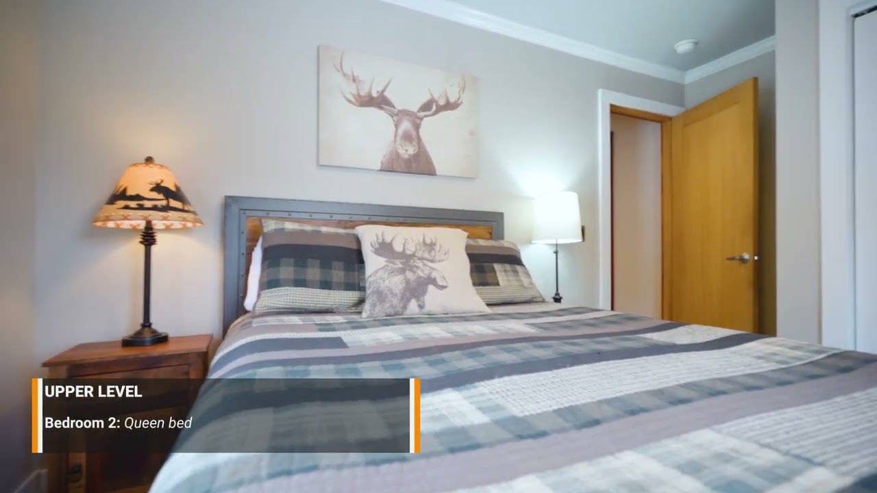 Group Family and Pet Friendly Rocky Mountain Getaway in Fairplay Colorado | Treetops at Warm Springs