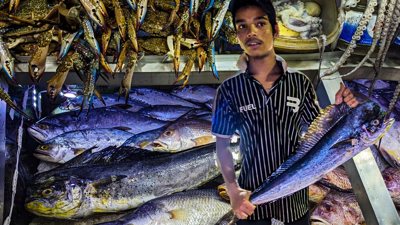 অক্টোপাস, কাঁকড়া, লবস্টার সহ সামুদ্রিক মাছের দাম কত | রুবেল ভাইয়ের দোকানের সামুদ্রিক মাছ খেতে কেমন