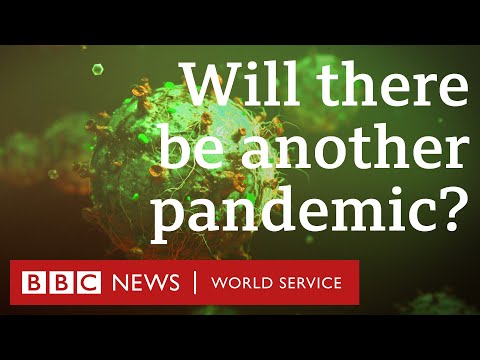 Video: The Scientist Named The Probable Cause Of The Next Pandemic - Alternative View