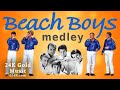 BEACH BOYS MEDLEY - 24K Gold Music - COVER Set - FUN Oldies Surfer Music LIVE Performance  60s HITS