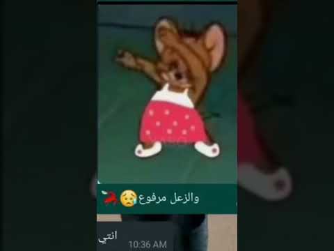 الخصام ممنوع