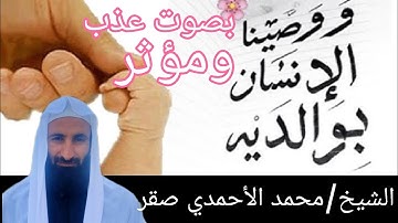 ووصينا الإنسان بوالديه تلاوة خاشعة للقارئ الشيخ محمد الأحمدي صقر