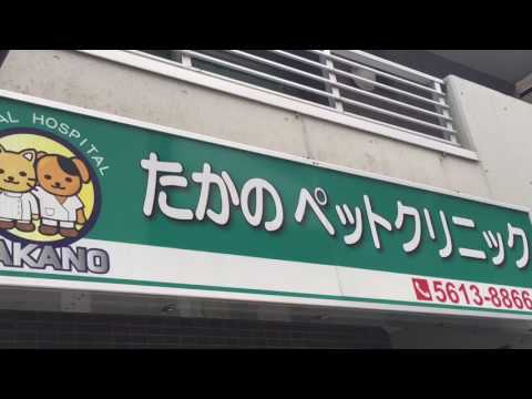 ドッグメディカル たかのペットクリニック 足立区綾瀬