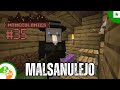Timiga kuracisto | Minecraft Minecolonies E35 | Esperanto