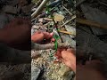 Clove hitch with an extra rap