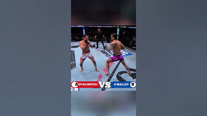 Merab Dvalishvili vs Sean O'Malley