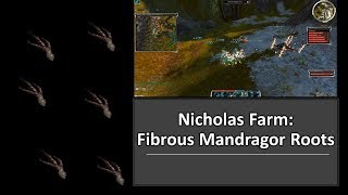 Guild Wars Nicholas FIBROUS MANDAGOR ROOTS [Farm]