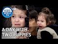 A day with two puppies [The Return of Superman/2019.06.09]