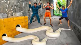 TERIFYING... 3 Brave Hunters Catch 2 Giant White Pythons with Bare Hand