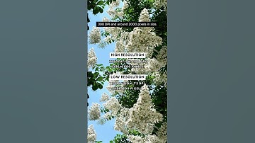 Blurry prints? Let’s fix that! 🖨️ ✨