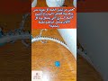 ليش لازم كل خياطة يكون عندها البكرة الشفافة النتيجة صدمة اكسبلور باترون قمصان خياطة عراقية