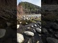 Just relaxing by the river