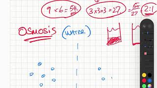 4.1.3 Osmosis, active transport and surface area to volume ratio