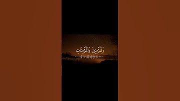رب اغفر لي ولوالدي 🥺 تلاوة من سورة نوح بصوت القارئ محمد البراك #قرآن #قران #قرآن_كريم #تلاوات_خاشعة