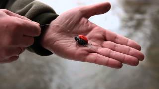 Salmo Wobbler Lil Bug Bg2F Dbe videó