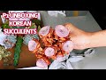 #290 P1 UNBOXING KOREAN SUCCULENTS | RARE SUCCULENTS