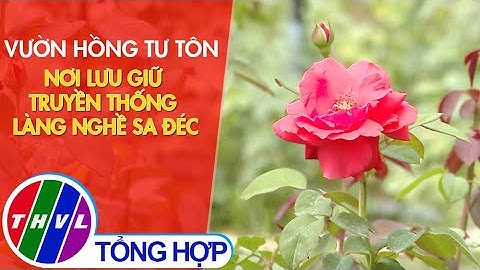 Điểm đến cuối tuần: Vườn hồng Tư Tôn - Nơi lưu giữ truyền thống làng nghề Sa Đéc