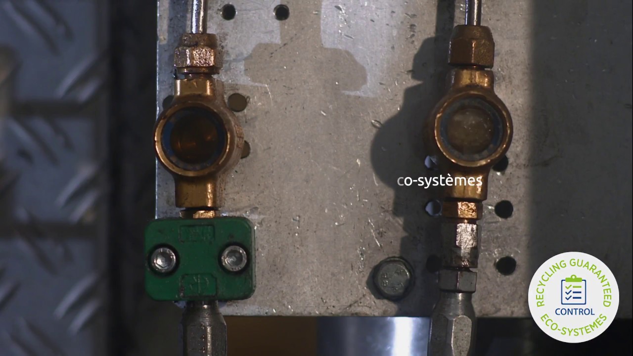 Recycling fridges with Eco-systèmes