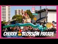CHERRY BLOSSOM PARADE PART 2 [parade show]