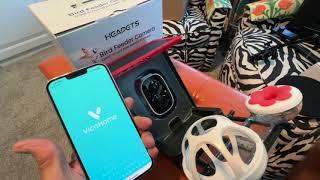 How to download the app for Heapets Solar Smart Bird Feeder camera screenshot 4