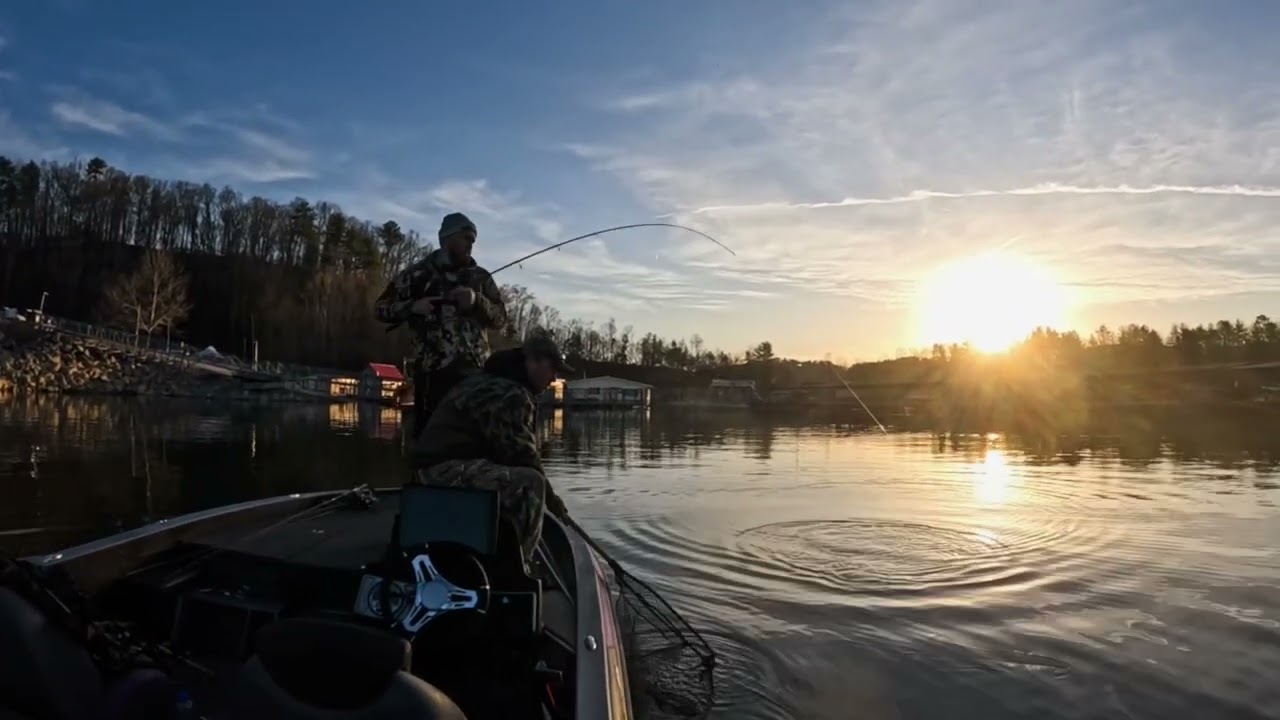 South Holston Lake Bass Fishing *PRE-SPAWN*