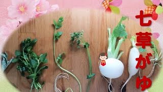 #81【簡単調理！】春の七草がゆ。準備は簡単！七草はスーパーでまとめてゲットできます！　お正月のご馳走で弱った胃に優しいおかゆをどうぞ。