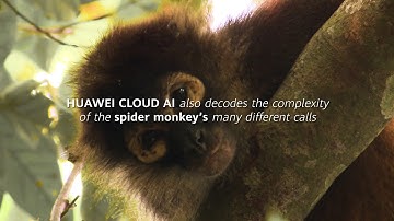 TECH4ALL: Technology For Earth