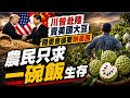 陸委會要查處赴陸5縣市農團 盧秀燕:要辦賴嗎? 郭正亮:川普都親赴陸賣美國大豆了  陸委會"仰中共鼻息說"傷透農民心 林佳新嗆:我們只求一碗飯生存 @中天電視CtiTv