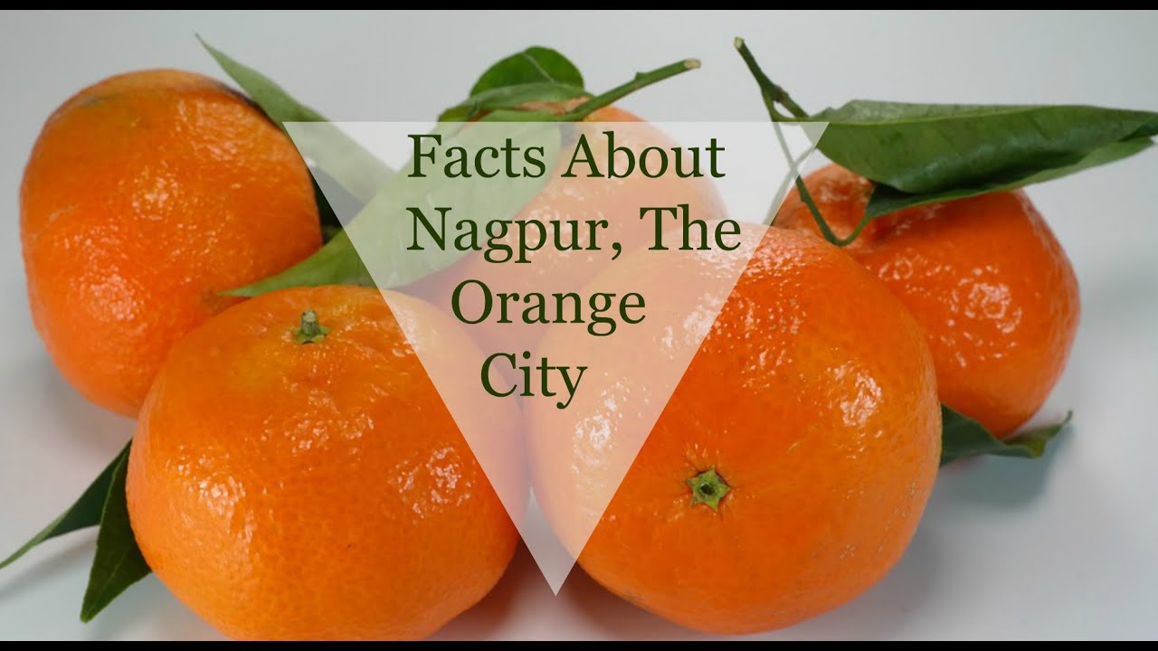 Facts About Nagpur, The Orange City YouTube