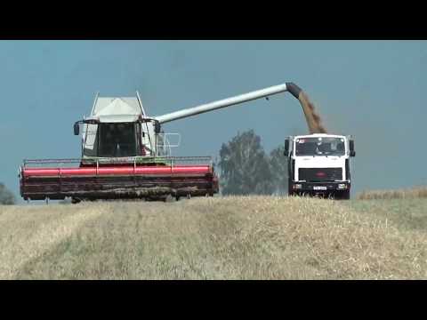 Уборка зерновых 2017