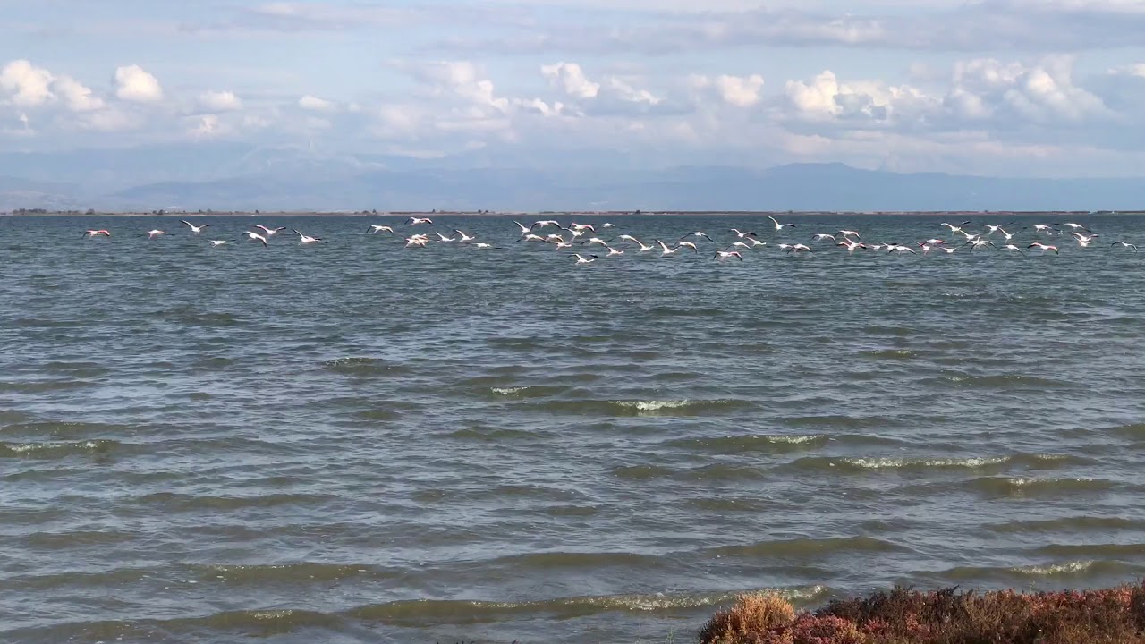 Wild road in the sea - Amvrakikos national park