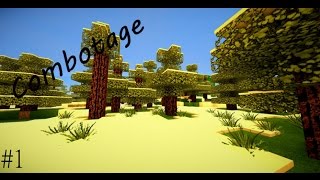 Combotage #1
