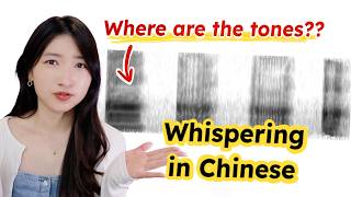 Whispering in Chinese: What Happens to Tones? screenshot 5