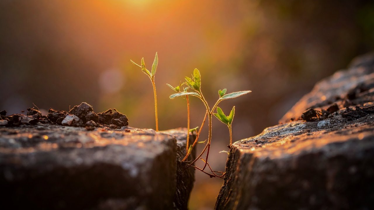 Disruption Is Essential For Spiritual Growth – Contemporary Service (Streaming 1-4, 2026)