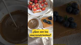 ¿Qué son los macronutrientes? #nutrición #vidasaludable #curiosidades