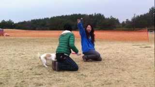 Disc Dog Seminar 2012-02-20 - Toss Practice