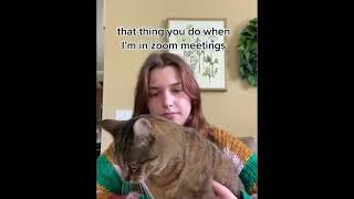 Cats Funny Compilation You Can Enjoy