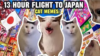 Cat Memes 13 Hours Flight To Japan
