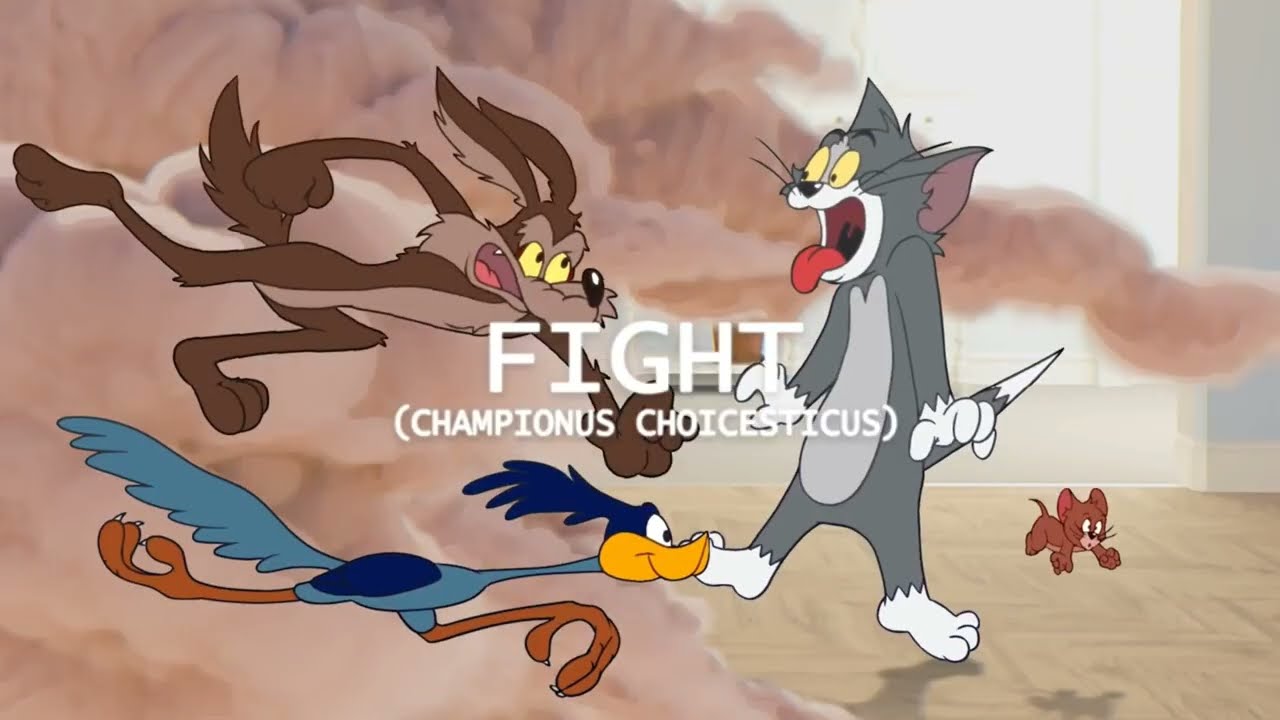 Why I Believe Tom vs Wile E Was Wrong... (Part 1)