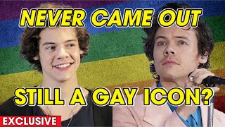 How Harry Styles Became a Gay Icon Without Coming Out | Rainbow Vibes