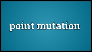 Point mutation Meaning