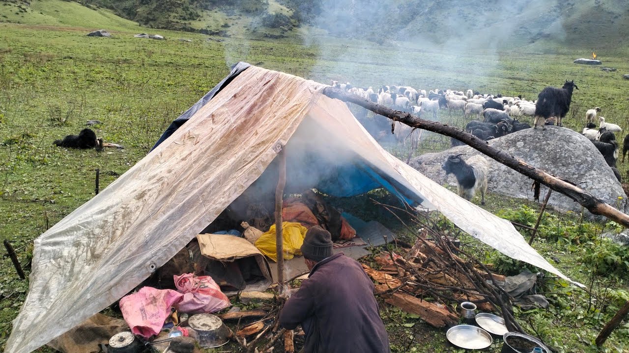 sheep hard crossing the bridge || sheep farm || Nepal Real village Life 