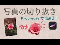 プロクリエイトで写真を切り抜く方法【procreate】選択のしきい値とは？
