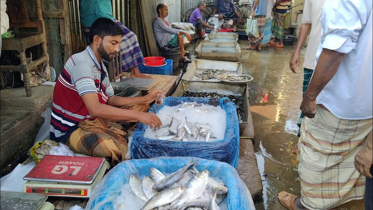I bought fresh fish from Howrah | Today's fish market only found fresh fish from Howrah - Carfu fish