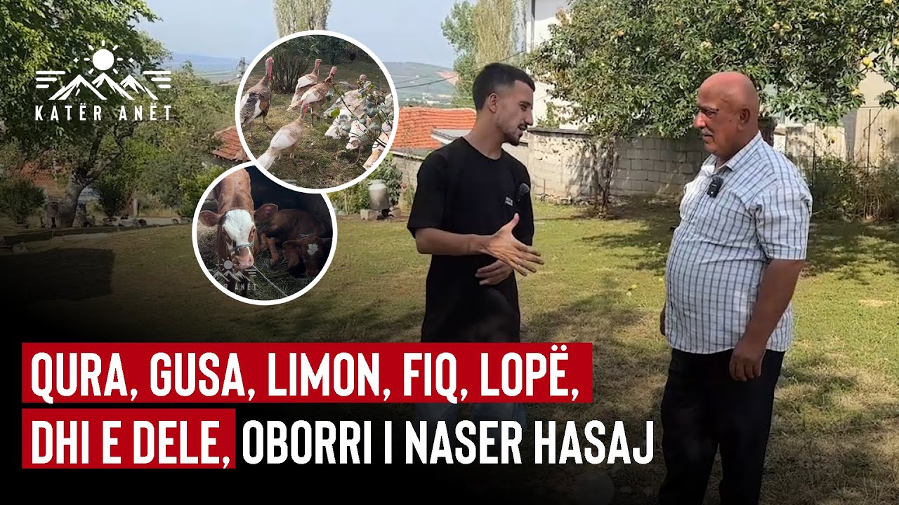 Qura, gusa, limon, fiq, lopë, dhi e dele - Çfarë nuk ka në oborrin e veteranit Naser Hasaj, ndiqeni