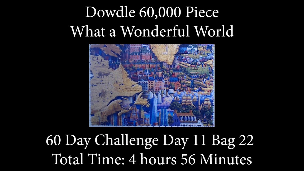60,000 Piece Challenge What a Wonderful World Jigsaw Puzzle Time Lapse Day 11 Bag 22! YouTube