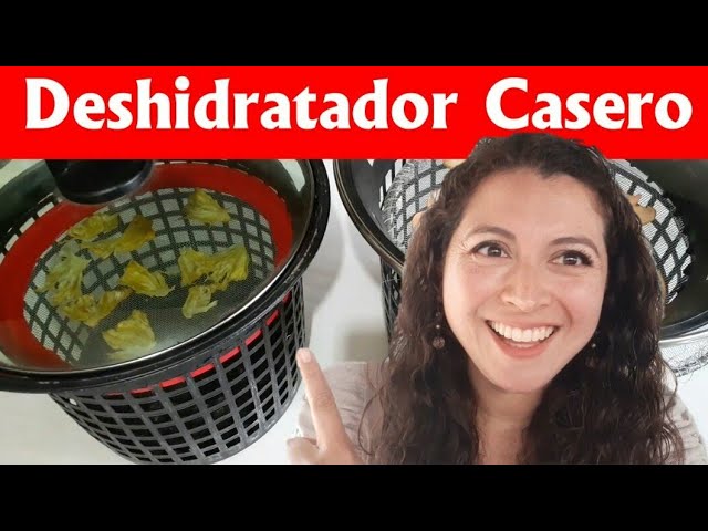 Cómo elegir el mejor deshidratador casero